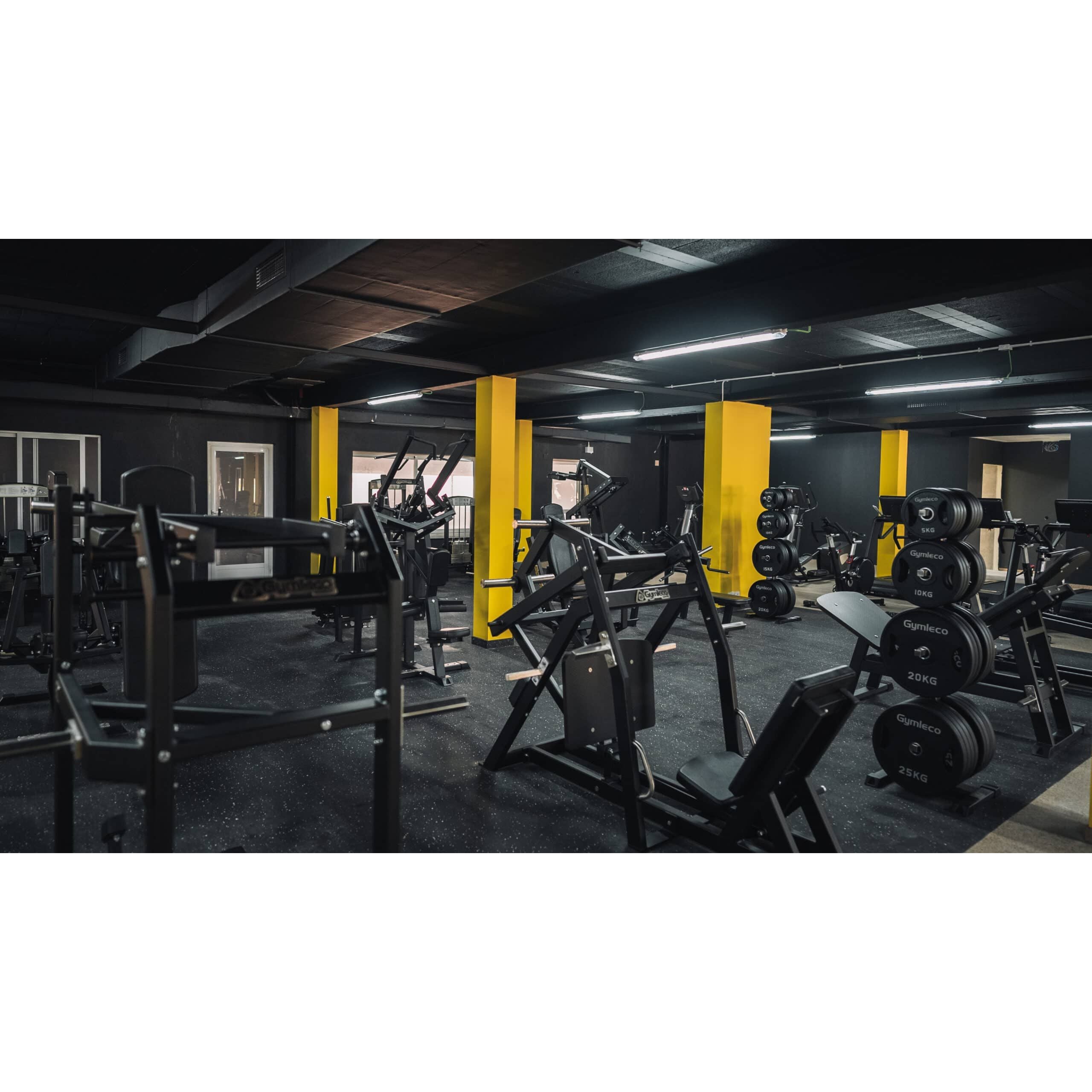 Gymleco Strength Machine 043 Hip Press