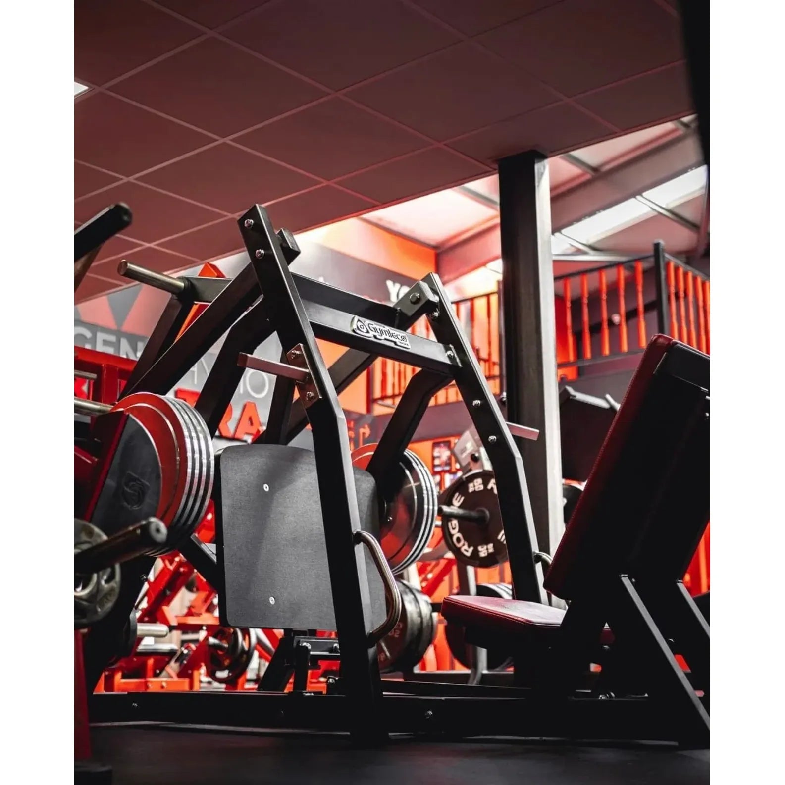Gymleco Strength Machine 043 Hip Press