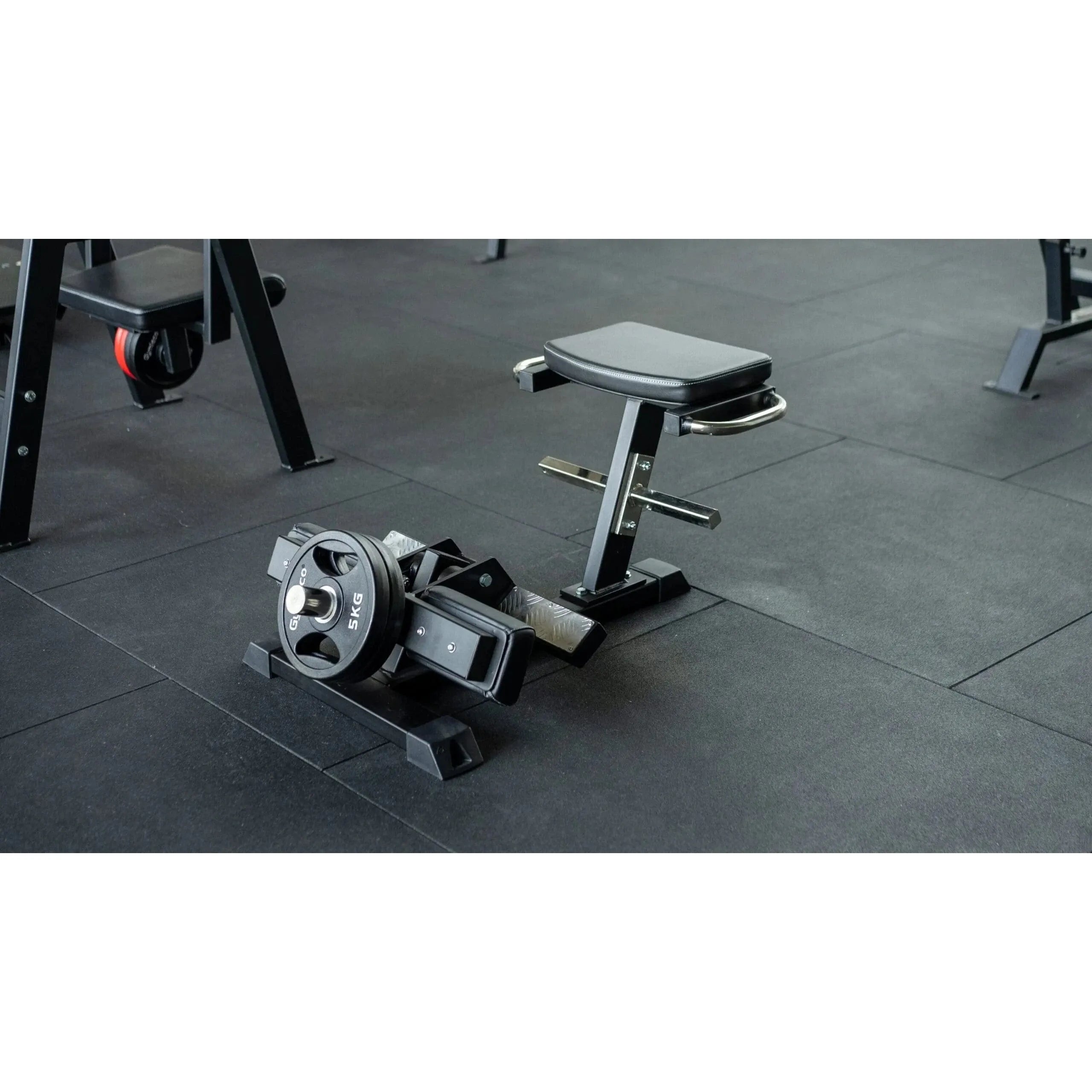 Gymleco Strength Machine 047 Tibia Dorsi Flexion