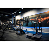 Gymleco Lower Body Strength Machine 082 Belt Squat Machine