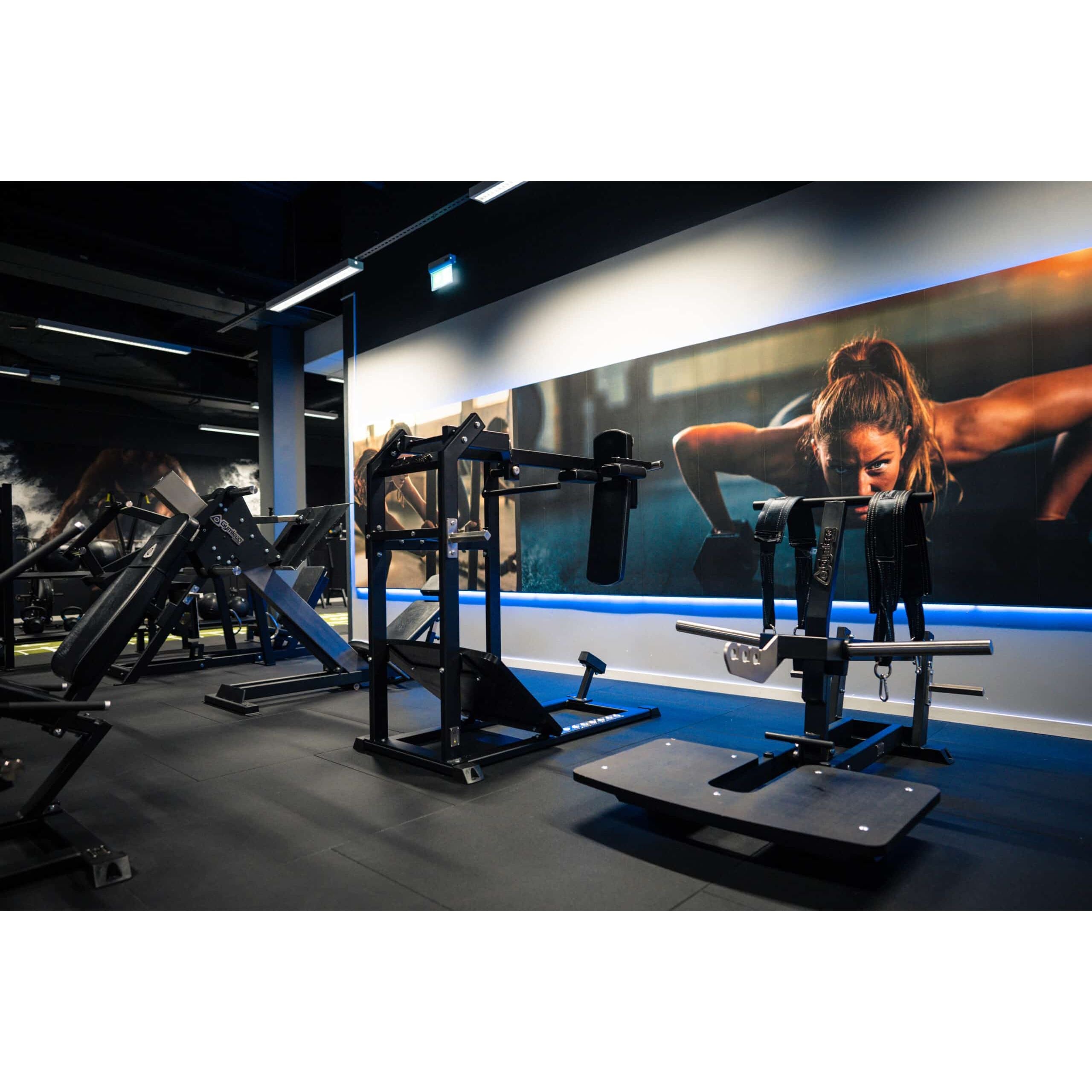 Gymleco Lower Body Strength Machine 082 Belt Squat Machine