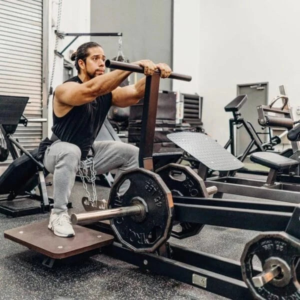 Gymleco Lower Body Strength Machine 082 Belt Squat Machine