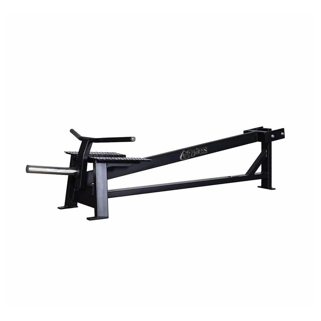 Gymleco Back Strength Machine 115 T Bar Row