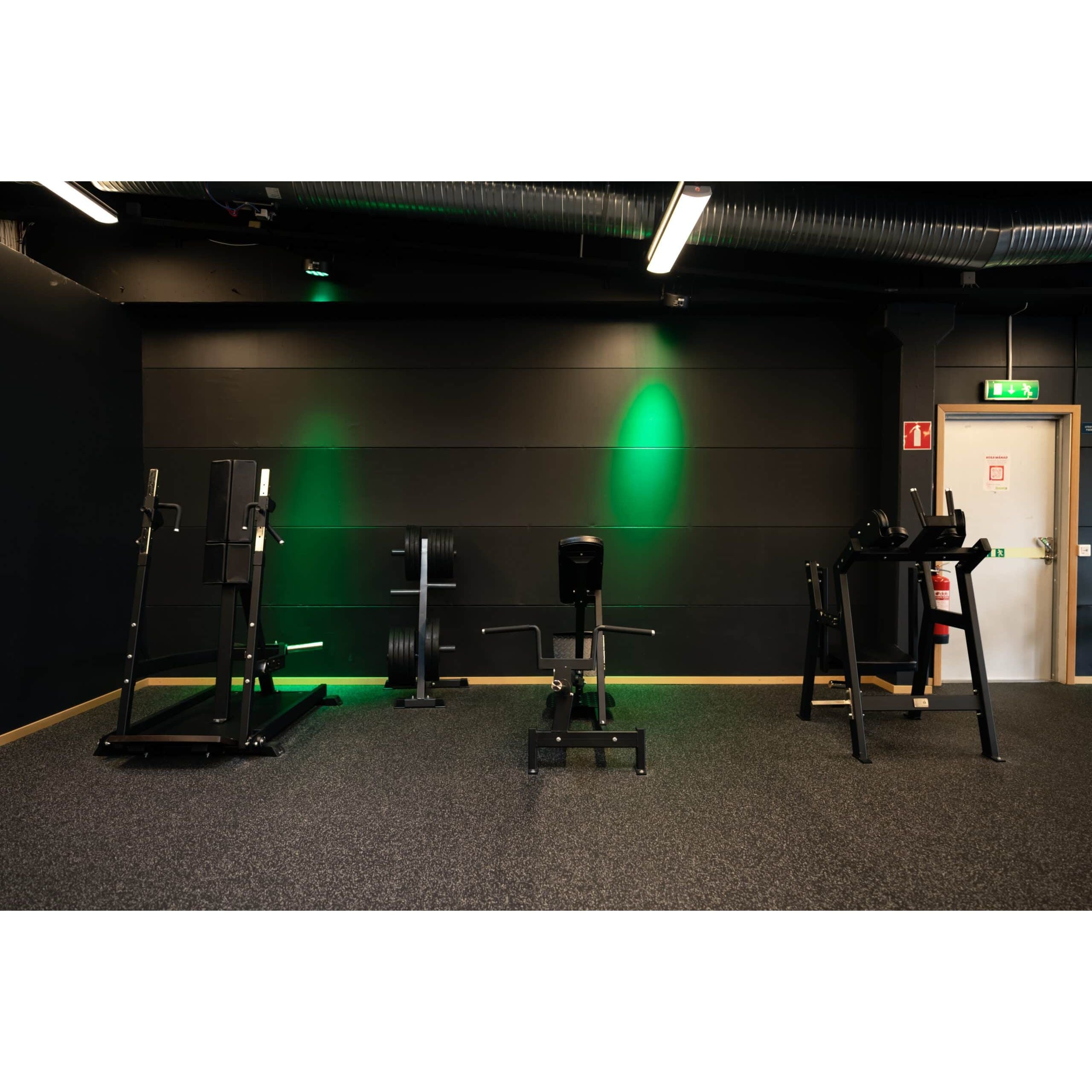 Gymleco Back Strength Machine 116 Incline T Bar Row