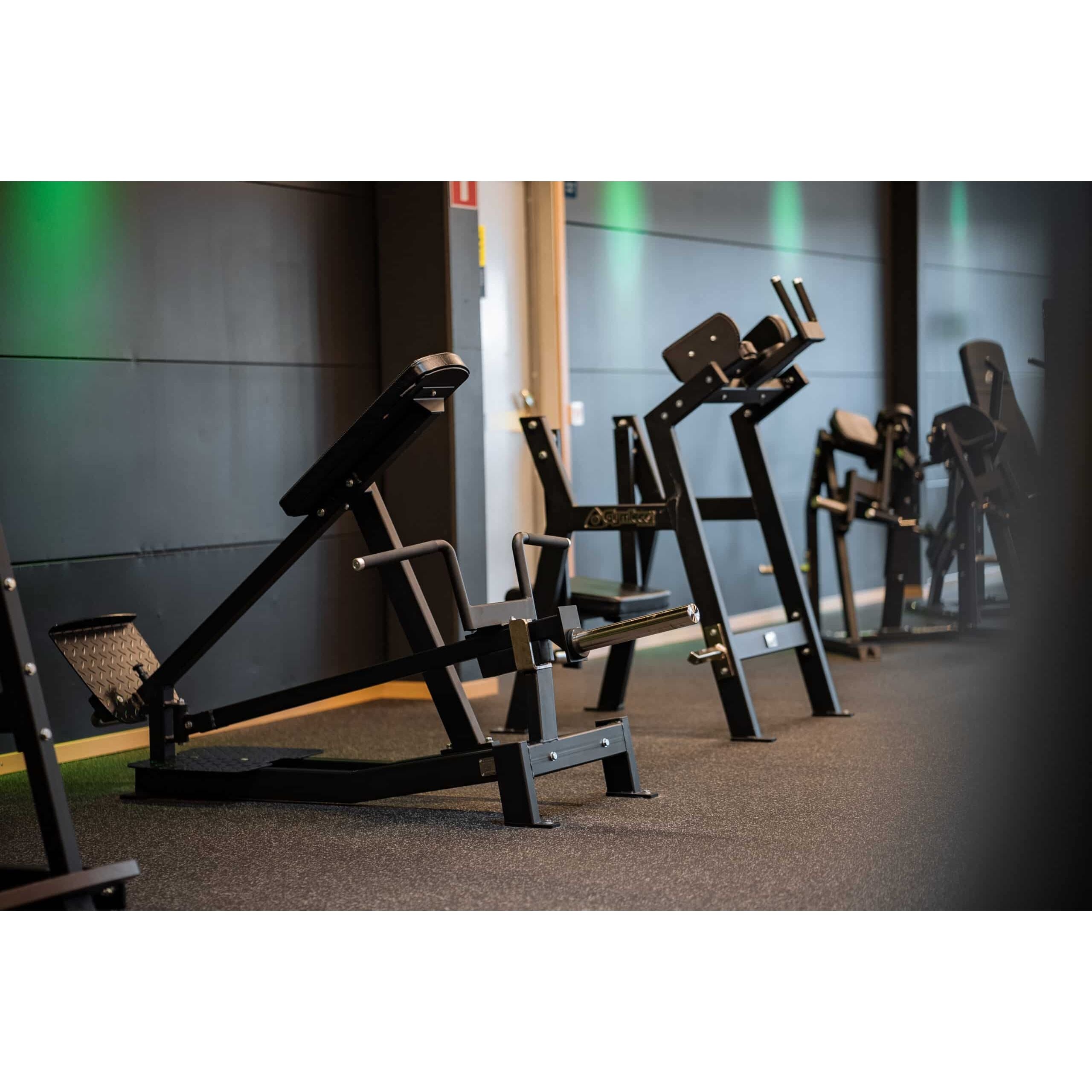 Gymleco Back Strength Machine 116 Incline T Bar Row
