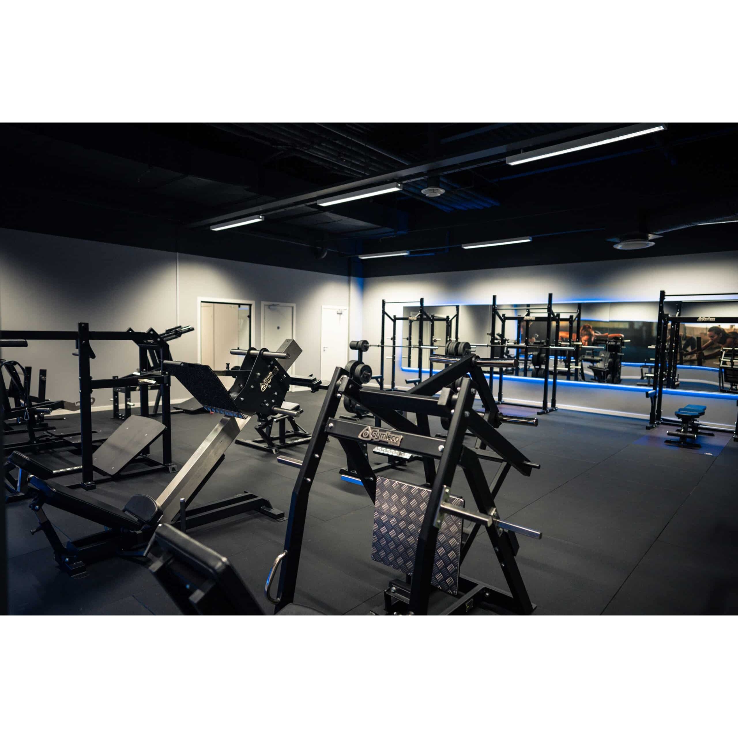 Gymleco Leg Strength Machine 243 Leg Press 45 Degree