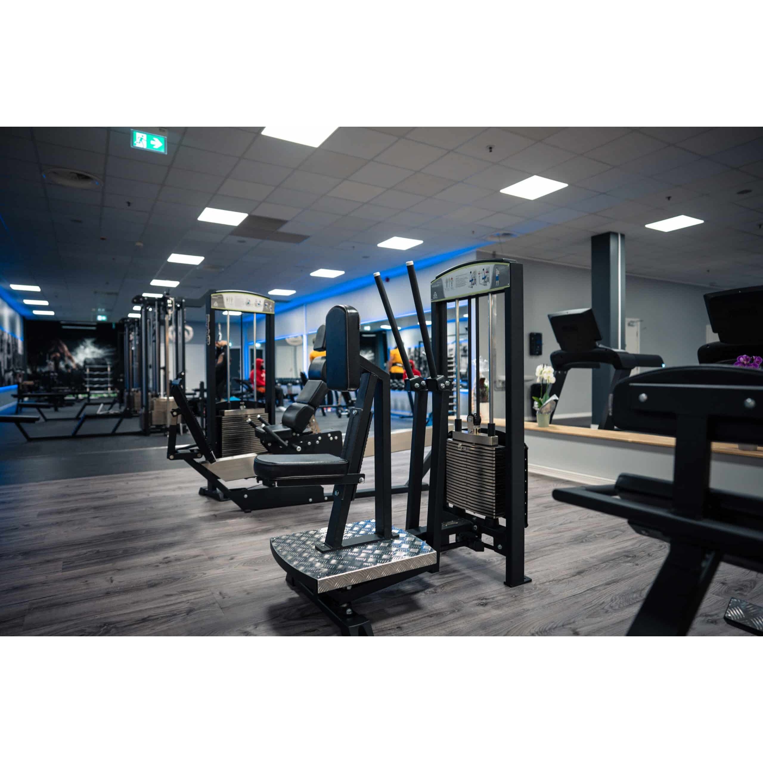 Gymleco Shoulder Strength Machine 333 Rear Delt Shoulder