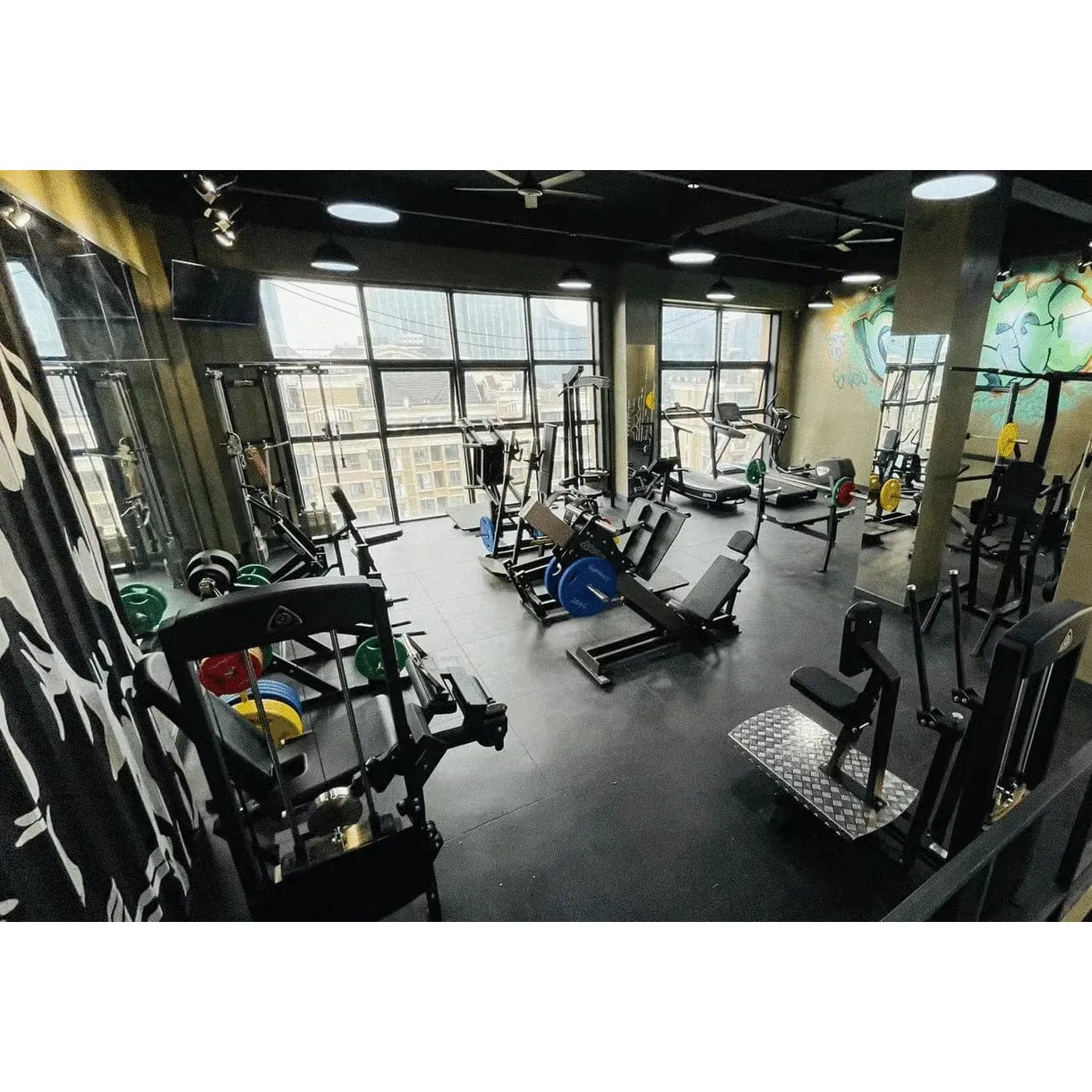 Gymleco Shoulder Strength Machine 333 Rear Delt Shoulder