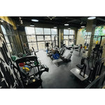 Gymleco Shoulder Strength Machine 333 Rear Delt Shoulder