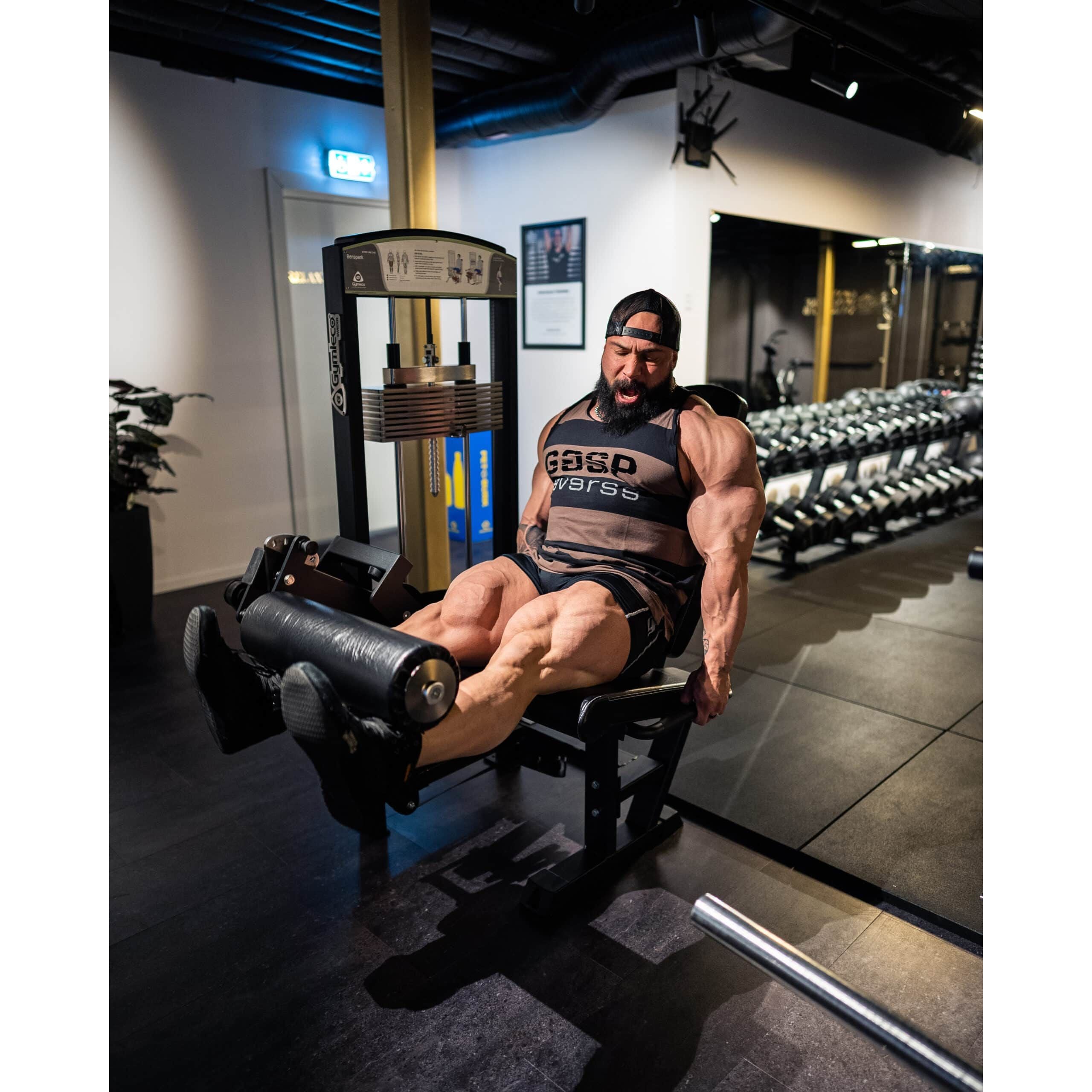 gymleco Leg Machines 340R Leg Extension