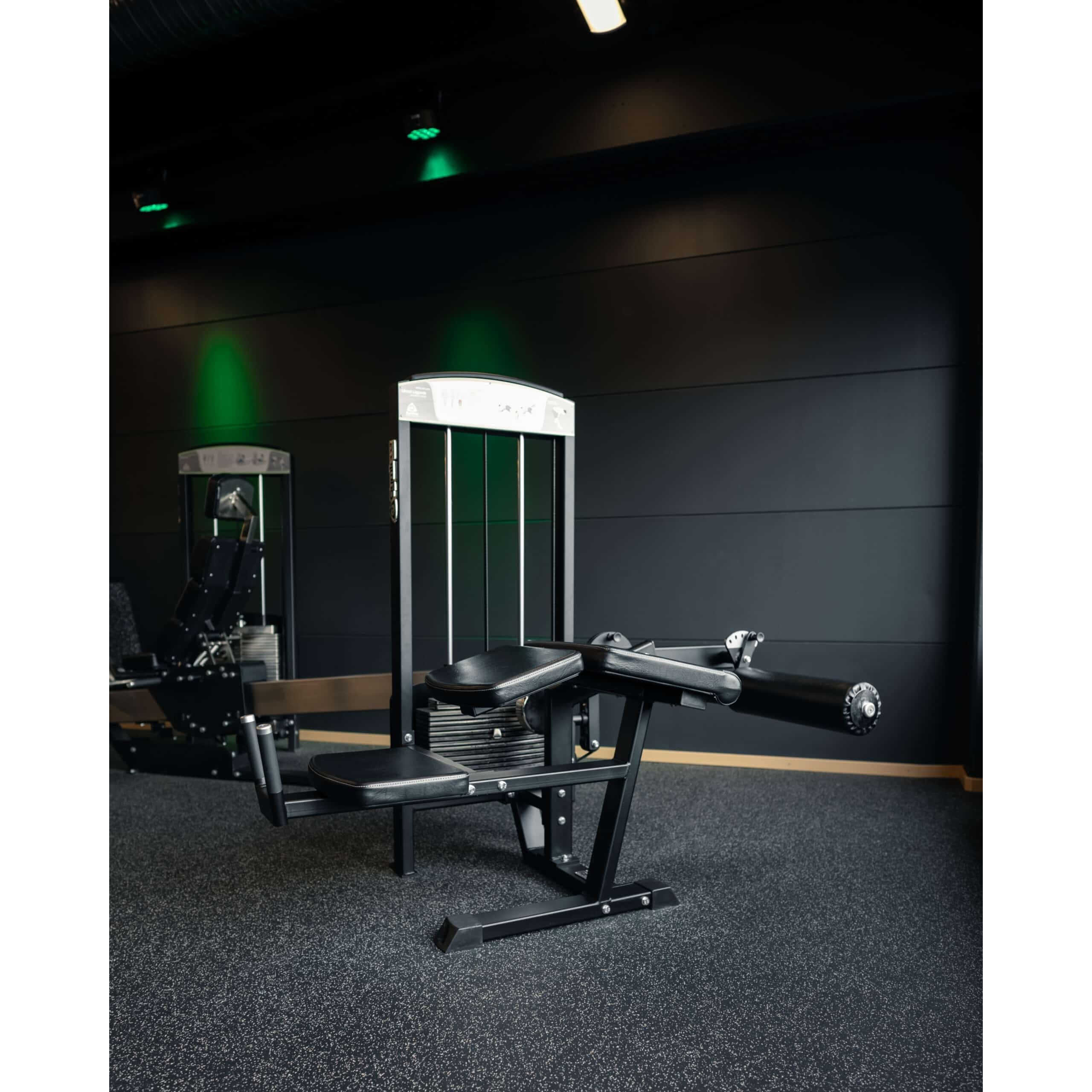 gymleco Leg Machines 342 Lying Leg Curl