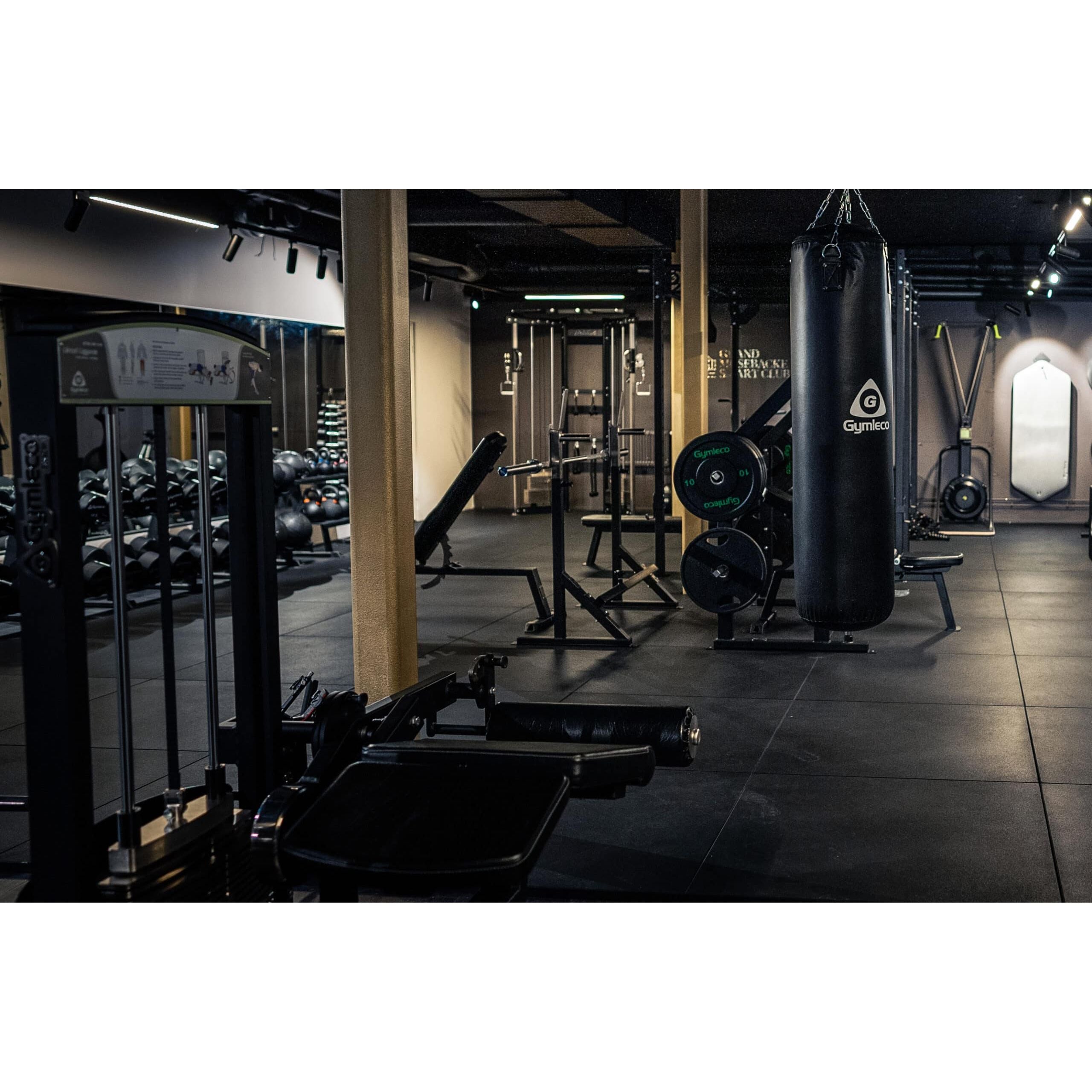 gymleco Leg Machines 342R Lying Leg Curl