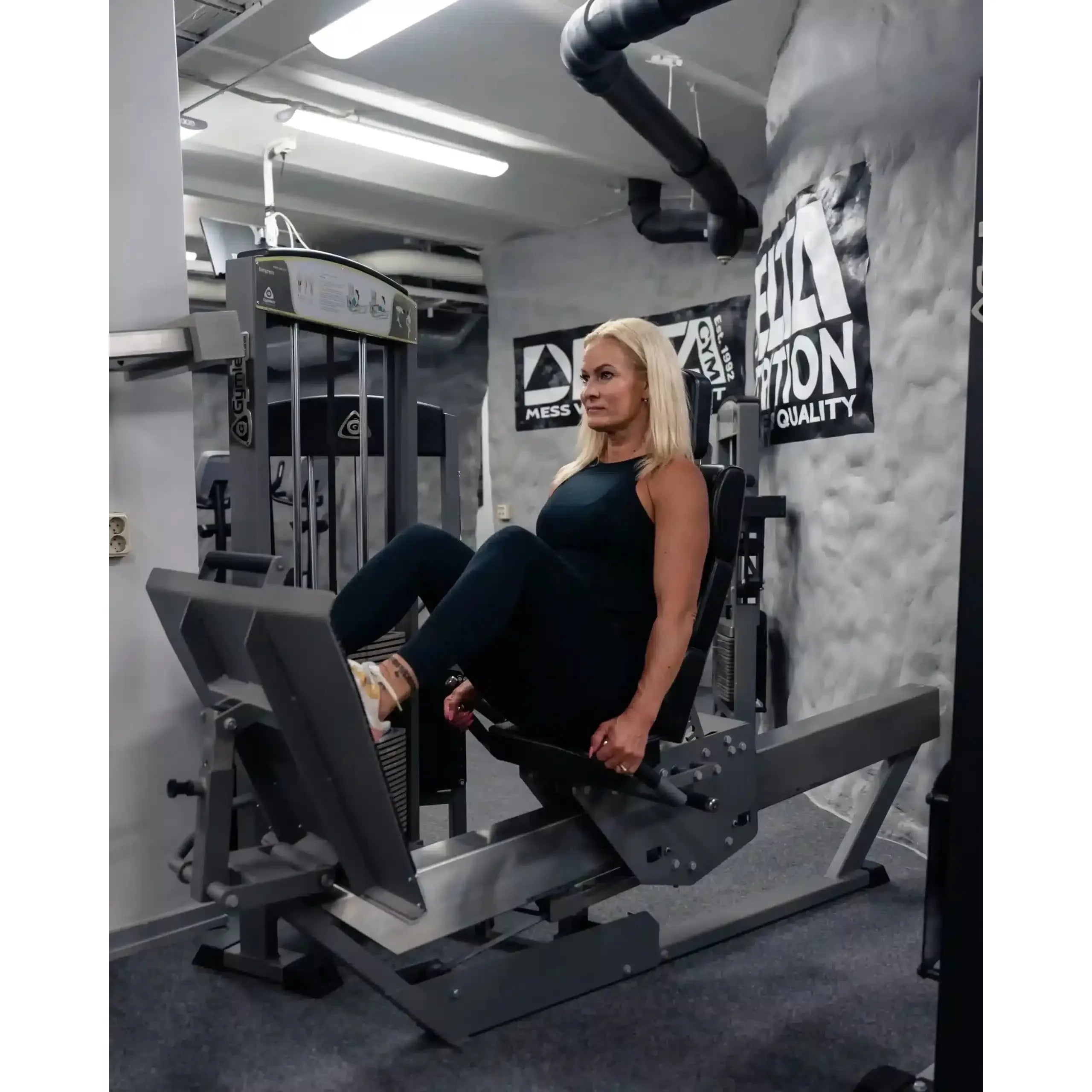 gymleco Leg Machines 343 Seated Leg Press