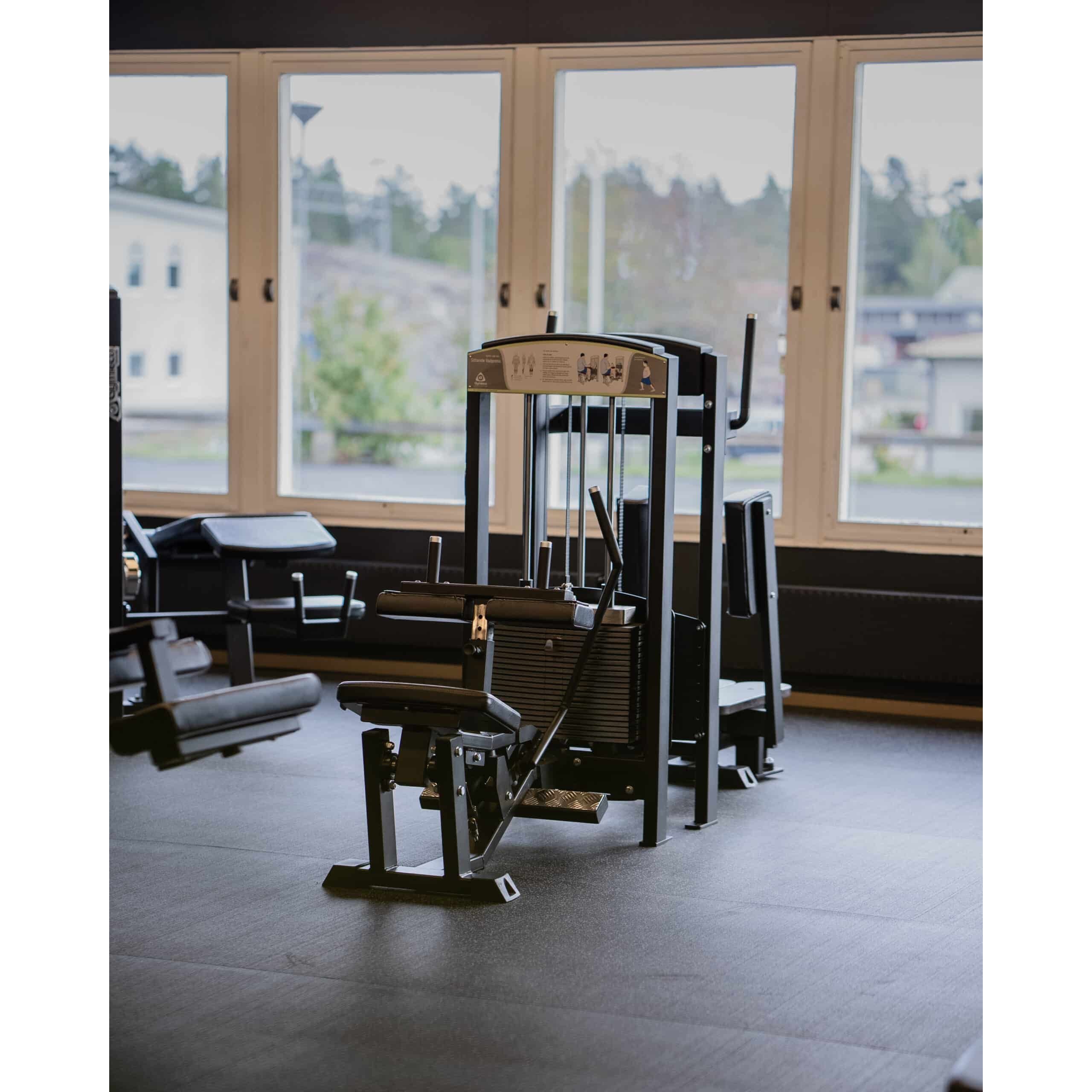 gymleco Calf Machines 345 Seated Calf Press