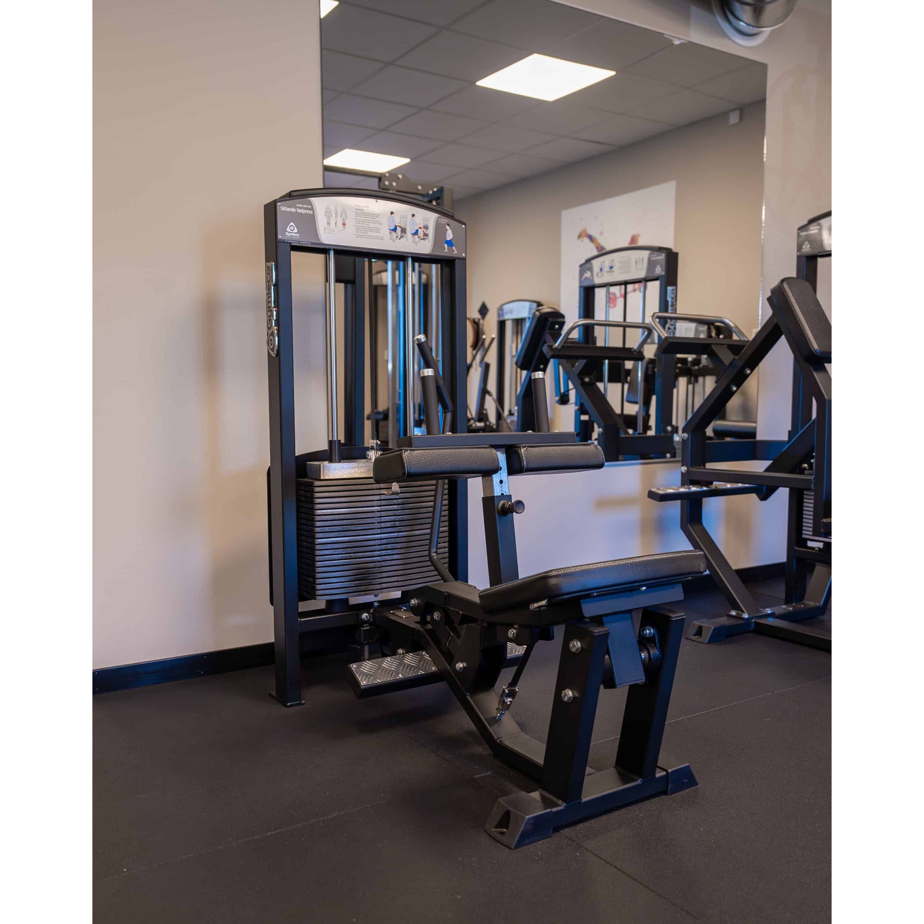 gymleco Calf Machines 345 Seated Calf Press