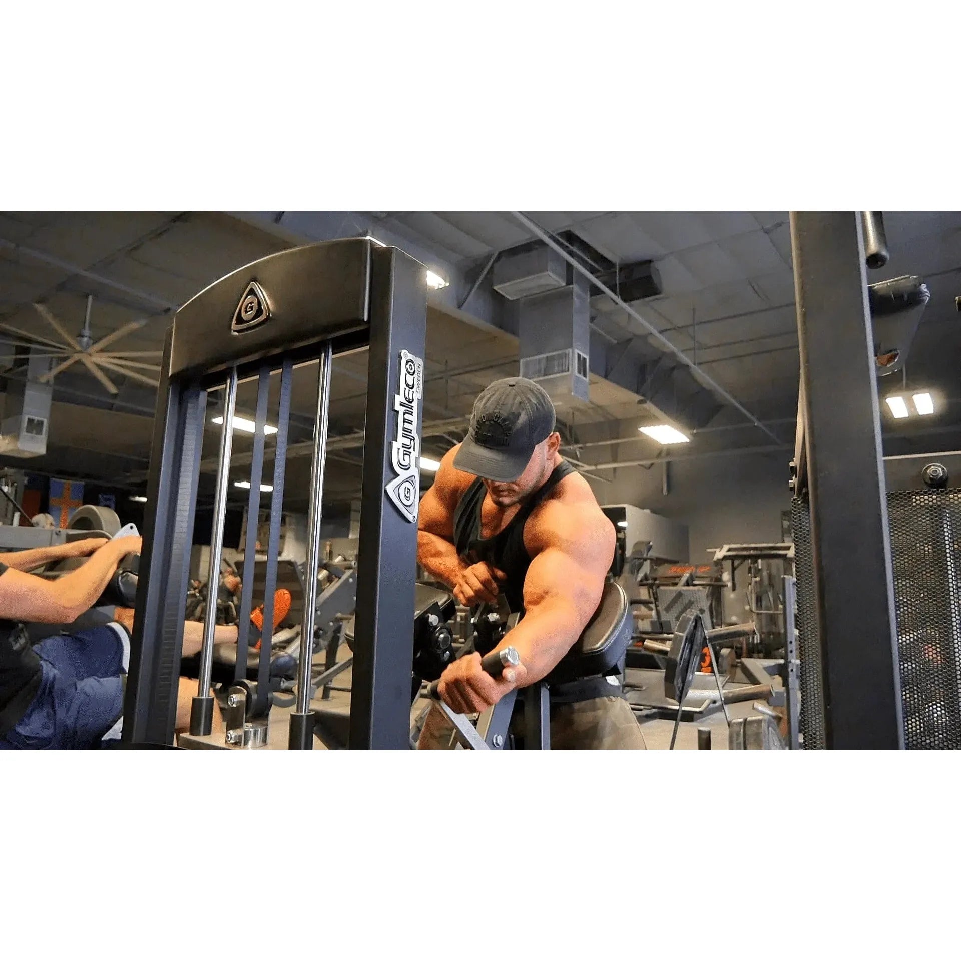 gymleco Arm Machines 350 Biceps Curl Machine