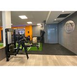 gymleco Arm Machines 350 Biceps Curl Machine