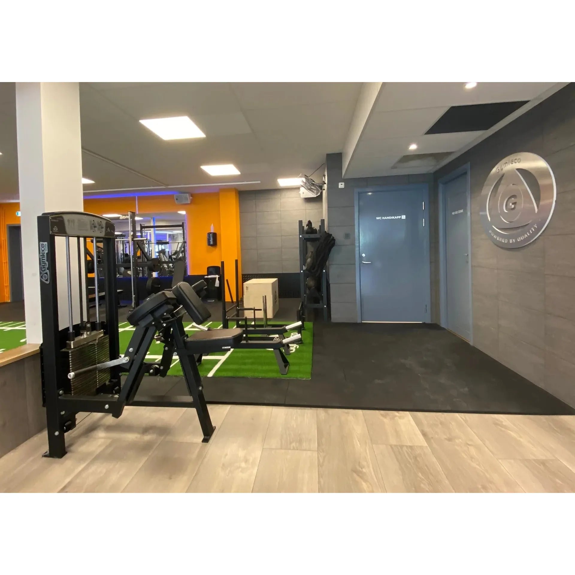 gymleco Arm Machines 350 Biceps Curl Machine