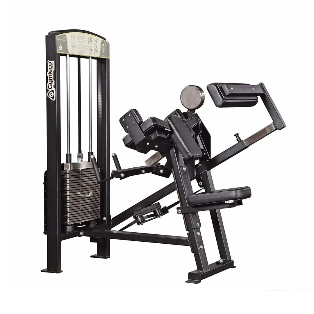 gymleco Arm Machines 355 Biceps/Triceps
