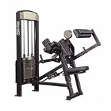 gymleco Arm Machines 355 Biceps/Triceps
