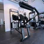 gymleco Arm Machines 355 Biceps/Triceps