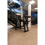 gymleco Arm Machines 355 Biceps/Triceps