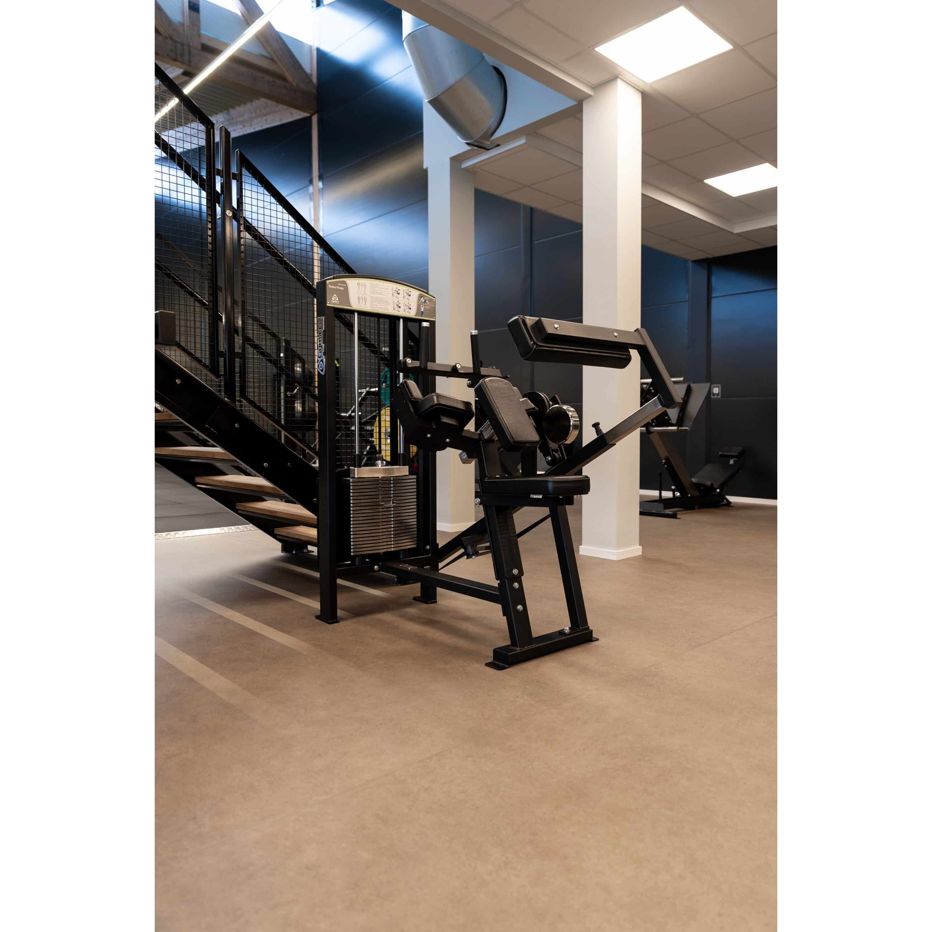 gymleco Arm Machines 355 Biceps/Triceps