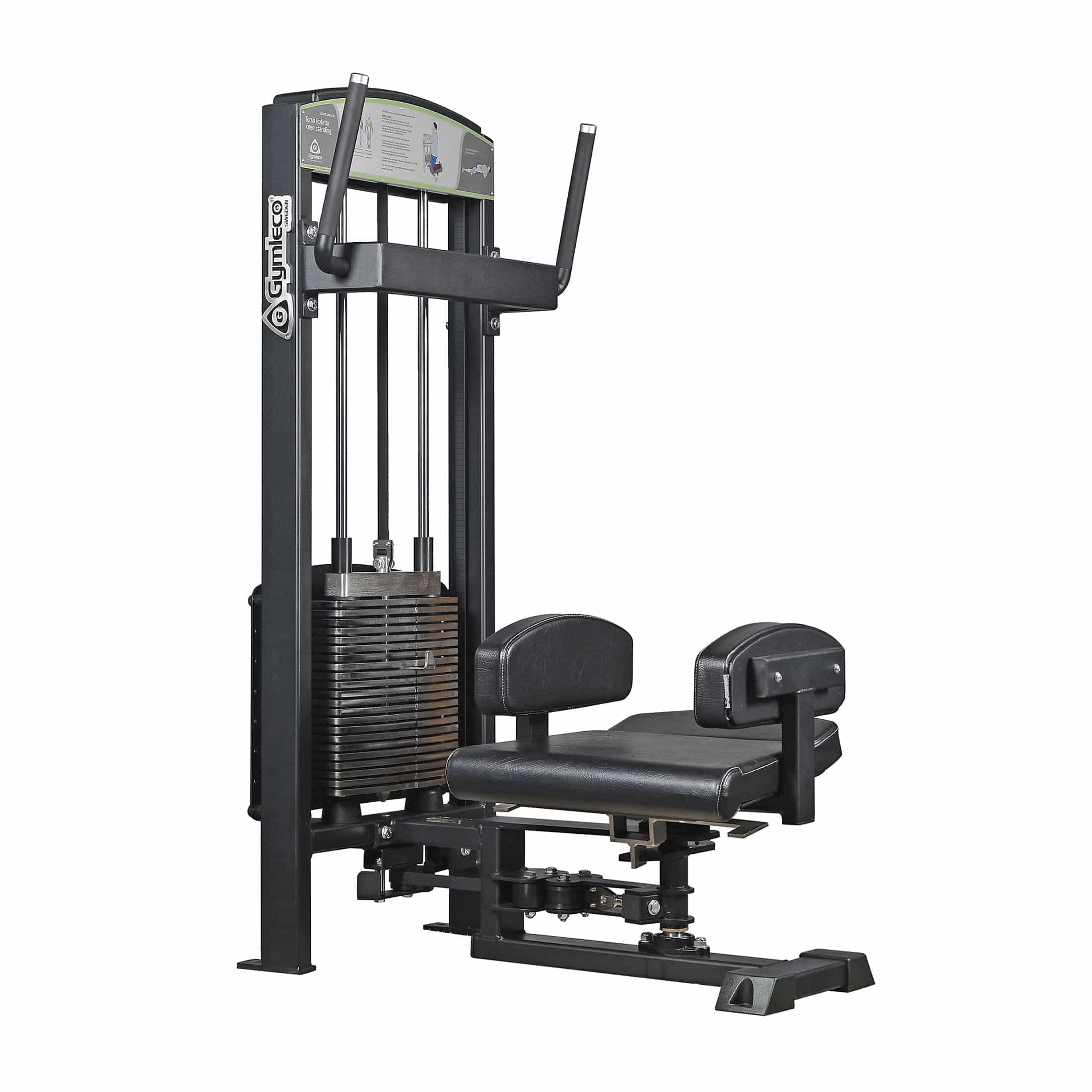 GymLeco Selectorized 362 Standing Abductor