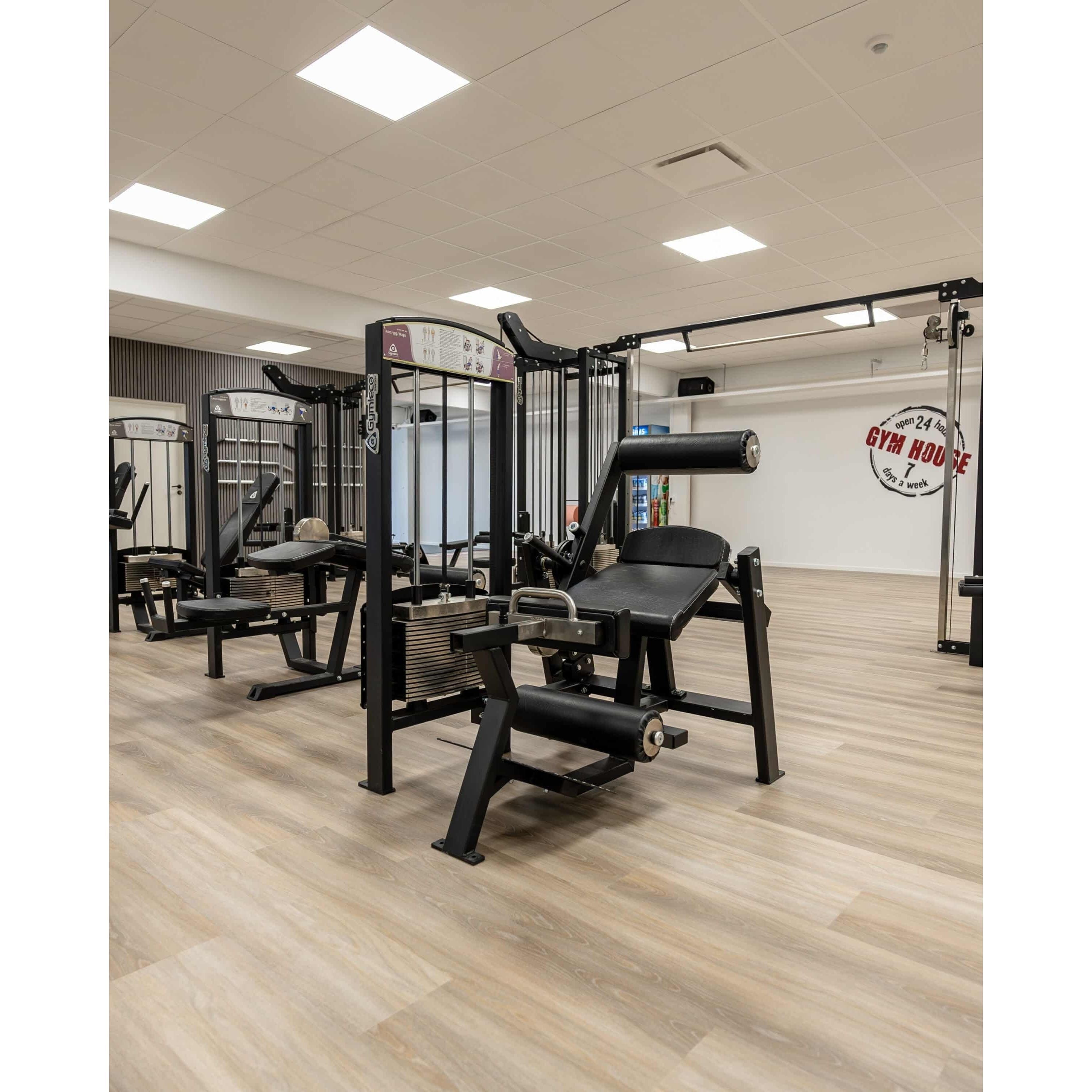 GymLeco Selectorized 365A Lumbar/Abdominal
