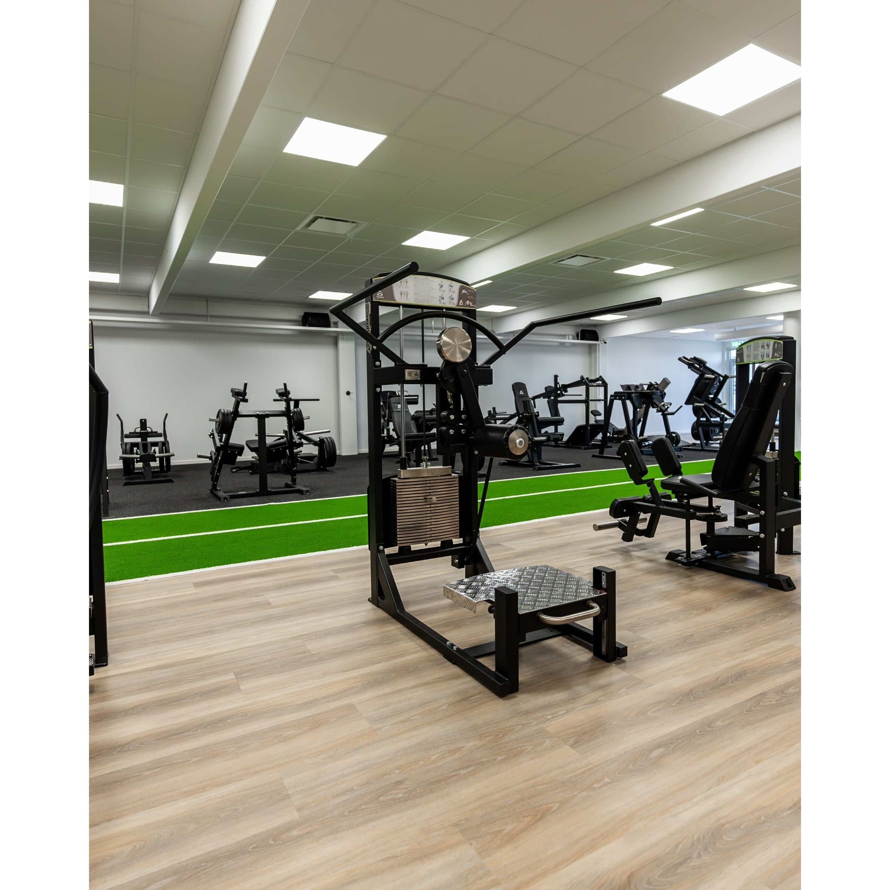 GymLeco Selectorized 369 Multihip