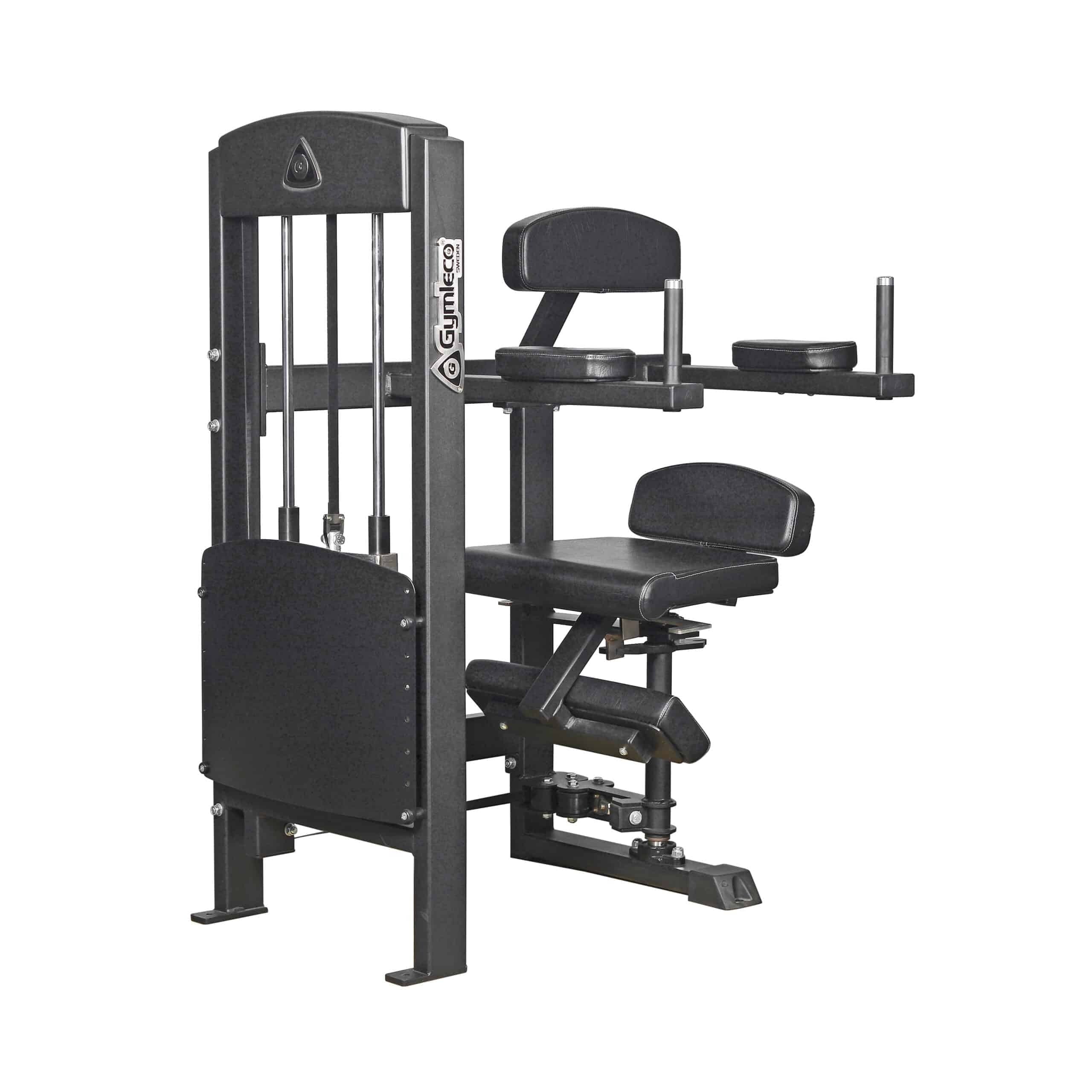 GymLeco Selectorized 375 Torso Rotation