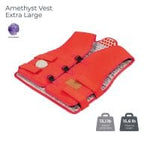 HealthyLine Photon PEMF InfraMat Vest HealthyLine Amethyst Vest Extra Large Soft - Photon PEMF InfraMat Pro®