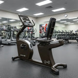 Muscle D Fitness Muscle D Fitness Commercial Recumbent Bike - LED Screen