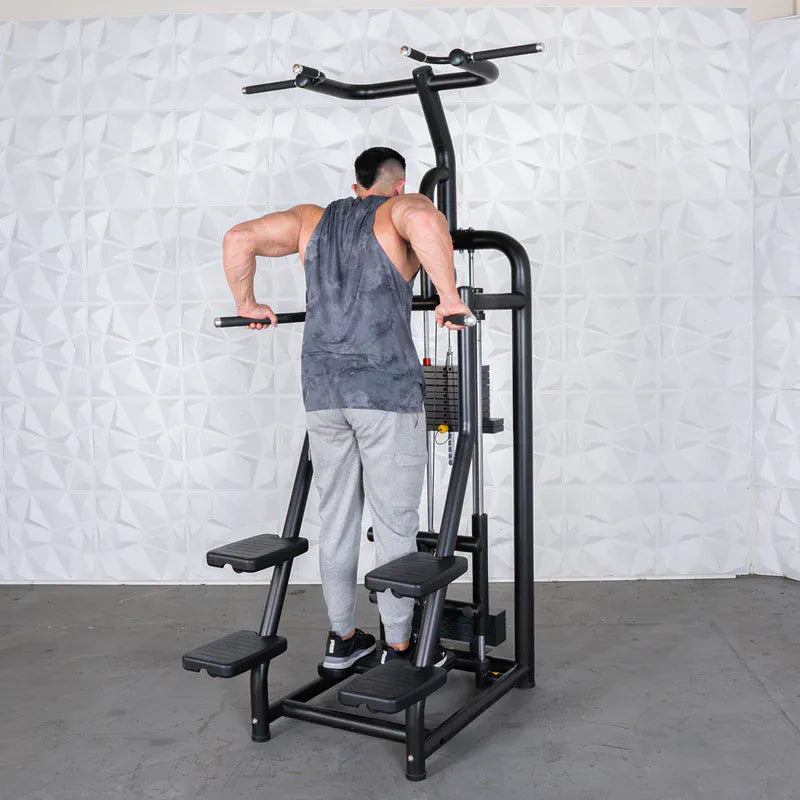 Muscle D Fitness Selectorized Machine Muscle D Fitness Vogue Assisted Chin Dip Machine