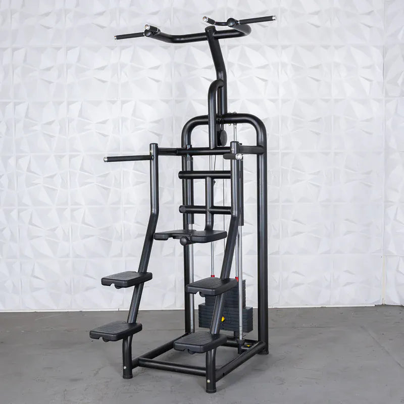 Muscle D Fitness Selectorized Machine Muscle D Fitness Vogue Assisted Chin Dip Machine