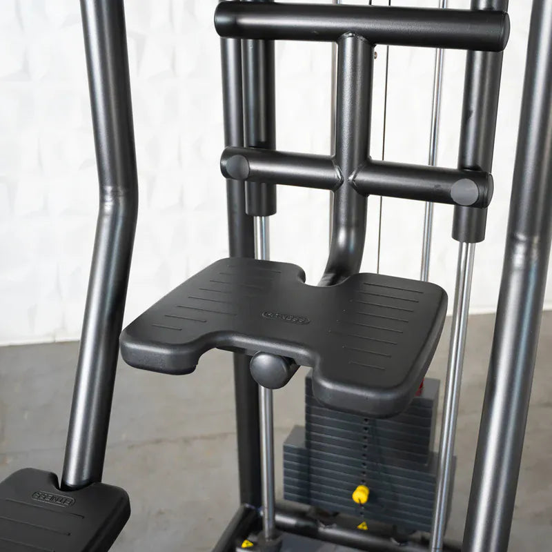 Muscle D Fitness Selectorized Machine Muscle D Fitness Vogue Assisted Chin Dip Machine