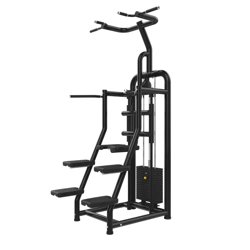 Muscle D Fitness Selectorized Machine Muscle D Fitness Vogue Assisted Chin Dip Machine