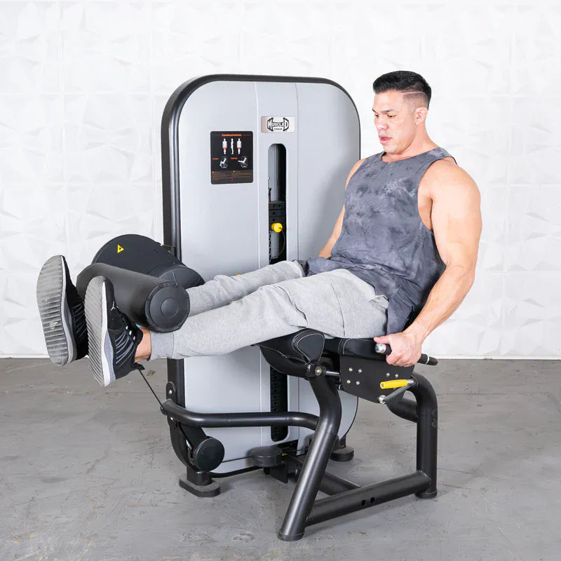 Muscle D Fitness Muscle D Fitness Vogue Leg Extension Machine