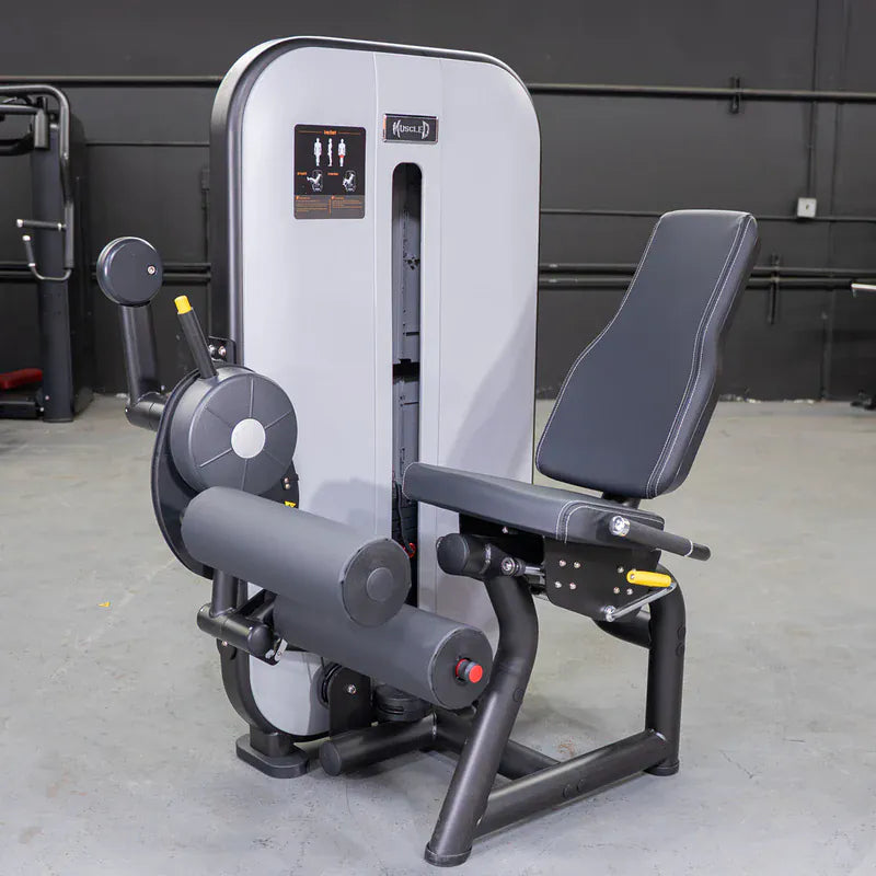 Muscle D Fitness Muscle D Fitness Vogue Seated Leg Curl
