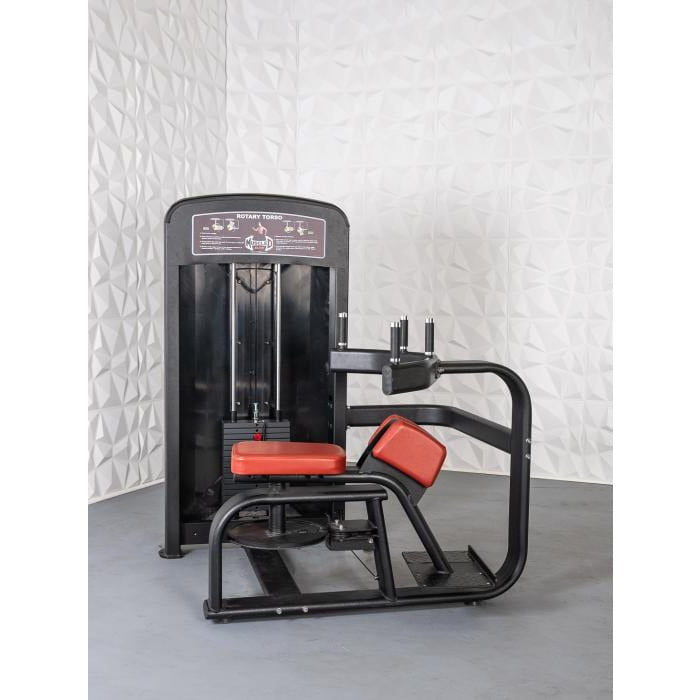 Abdominal Machines – Iron Zone Gyms