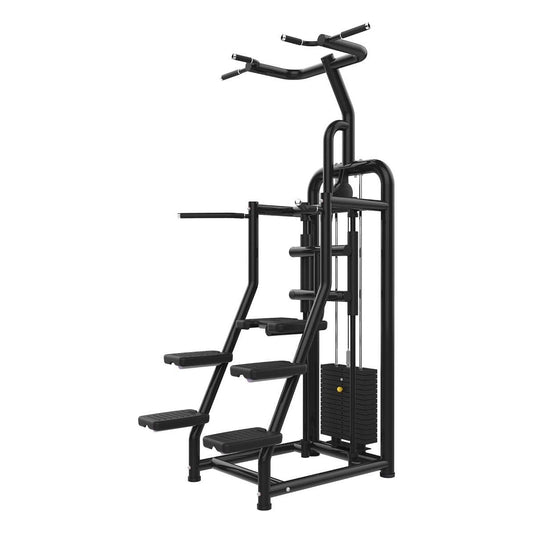 Muscle D Fitness Abdominal Machines Muscle D Vogue Line Assisted Chin/Dip