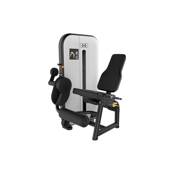 Muscle D Fitness Back Machines Muscle D Vogue Line Leg Extension