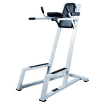 STS Functional Machine York STS Vertical Knee Raise (VKR) With Dip