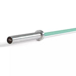 Troy Fitness Weight Bars Troy Blackwing Cerakote Olympic Bar