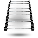 York Barbell Rubber Coated Fixed Pro Straight Barbell Set